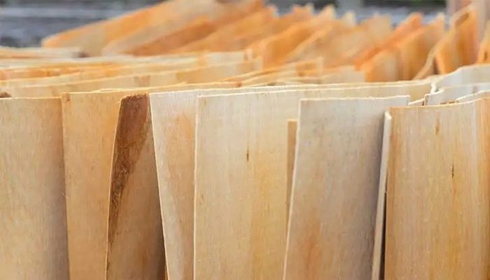 精制单板 fine veneer